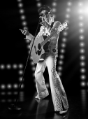 Steve Grayson-The German Elvis-Show